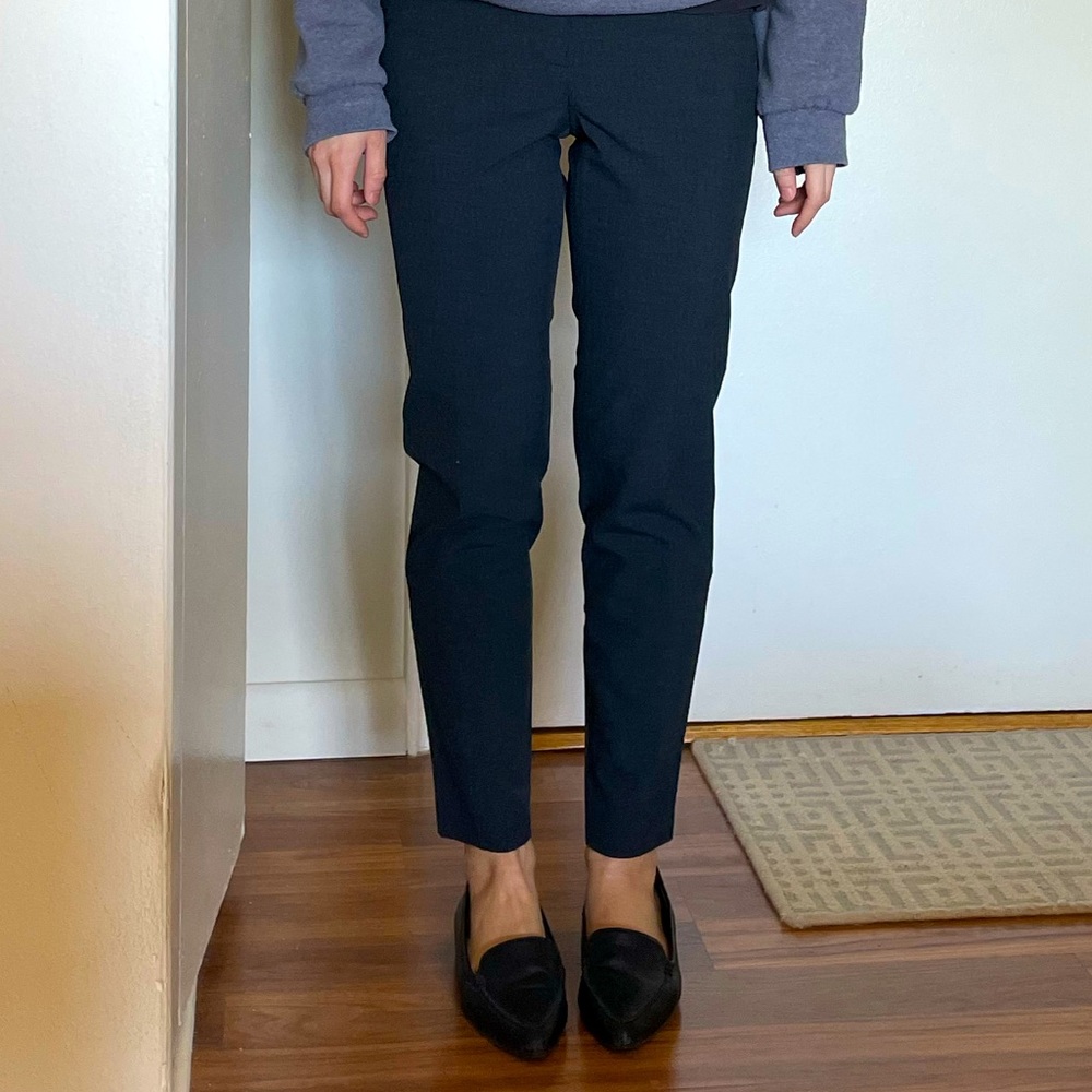 Halogen Petite Dress Pants Taylor Fit